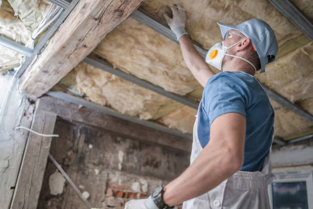 Types of Insulation We Offer in Sussex, WI