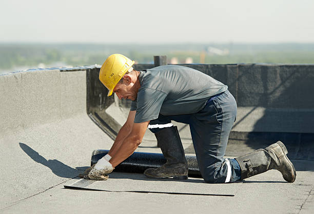 Best Specialized Insulation Services in Sussex, WI
